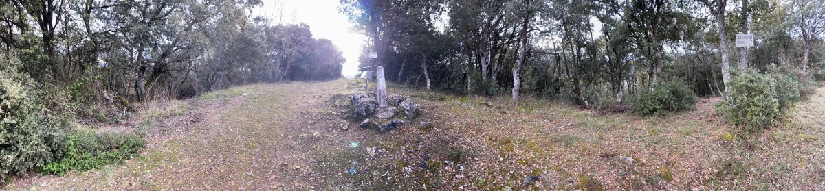 Tontorra