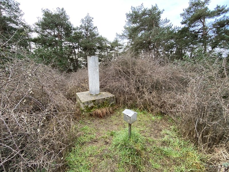 Tontorra