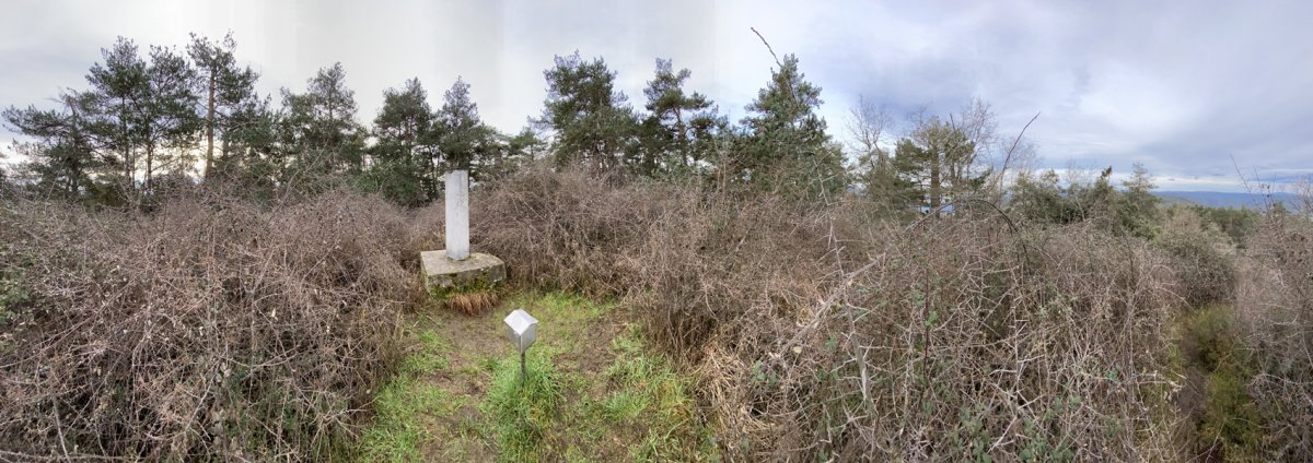 Tontorra