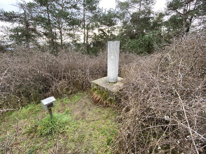 Tontorra