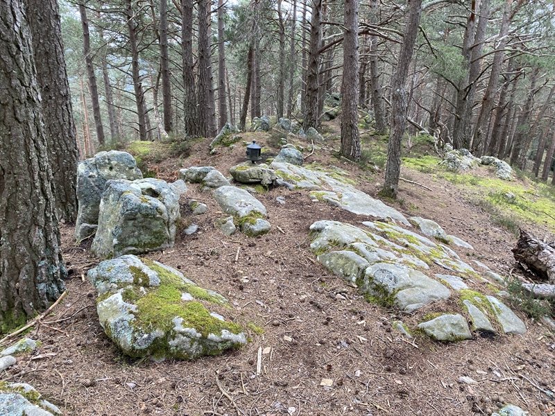 Tontorra