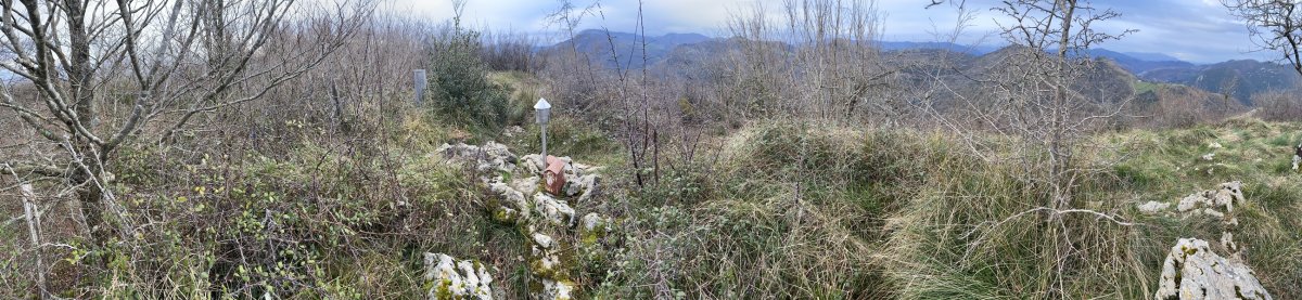 Tontorra