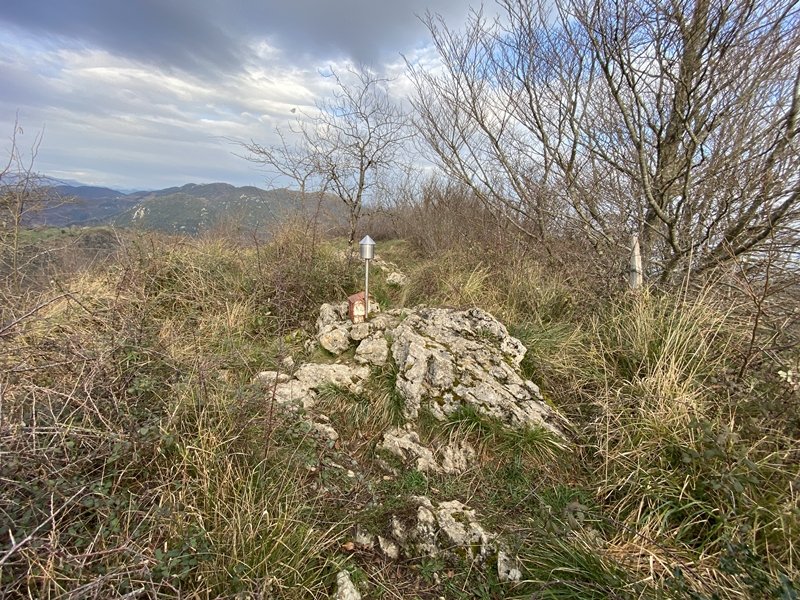 Tontorra