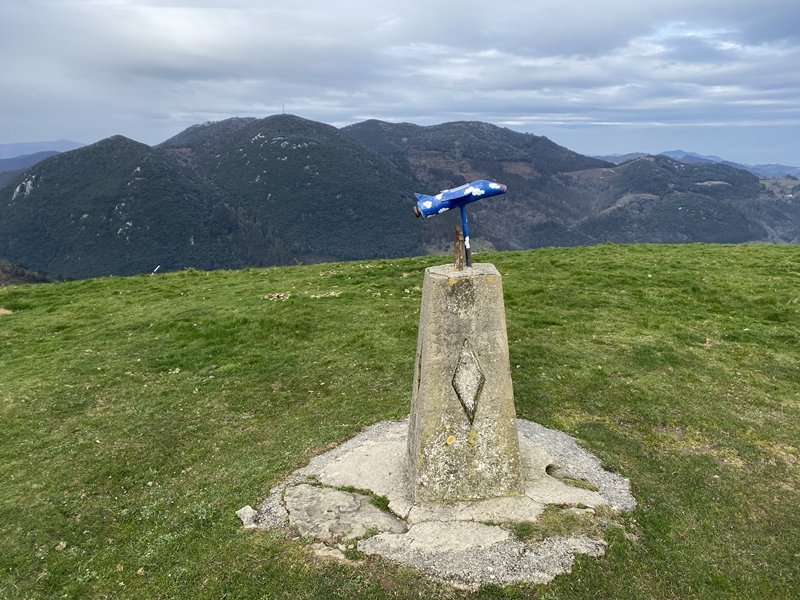 Tontorra