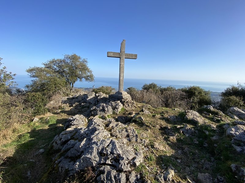 Tontorra