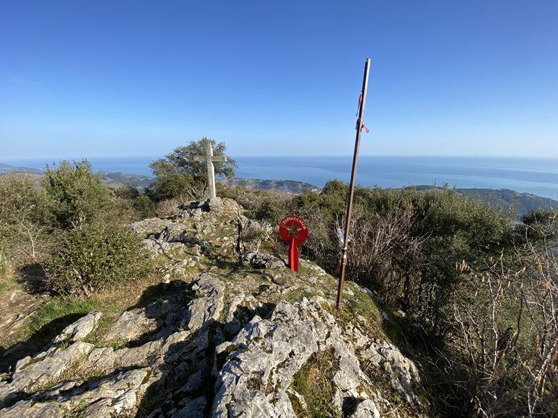 Tontorra
