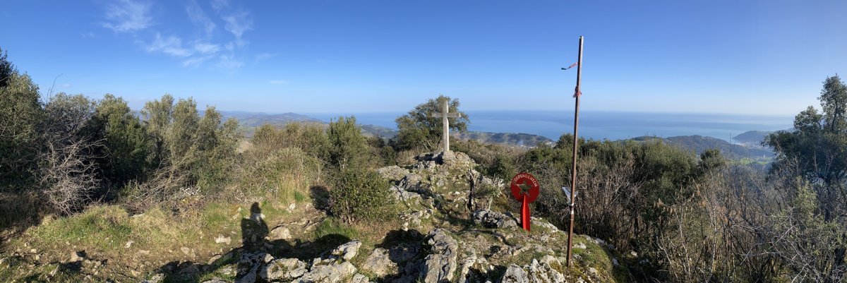 Tontorra