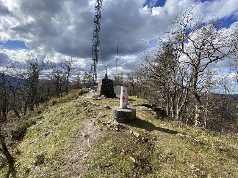 Tontorra