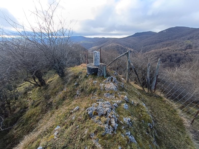Tontorra