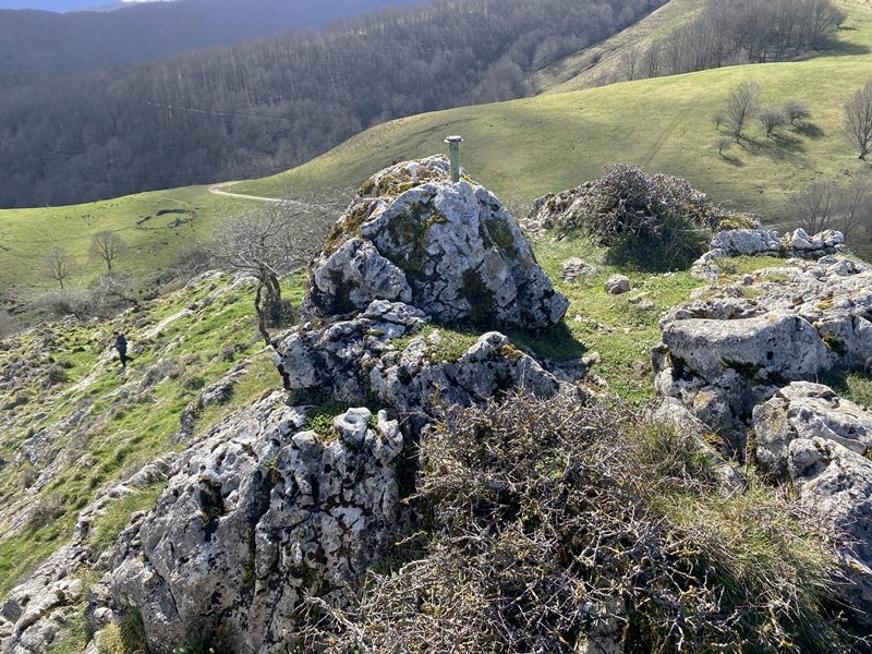 Tontorra
