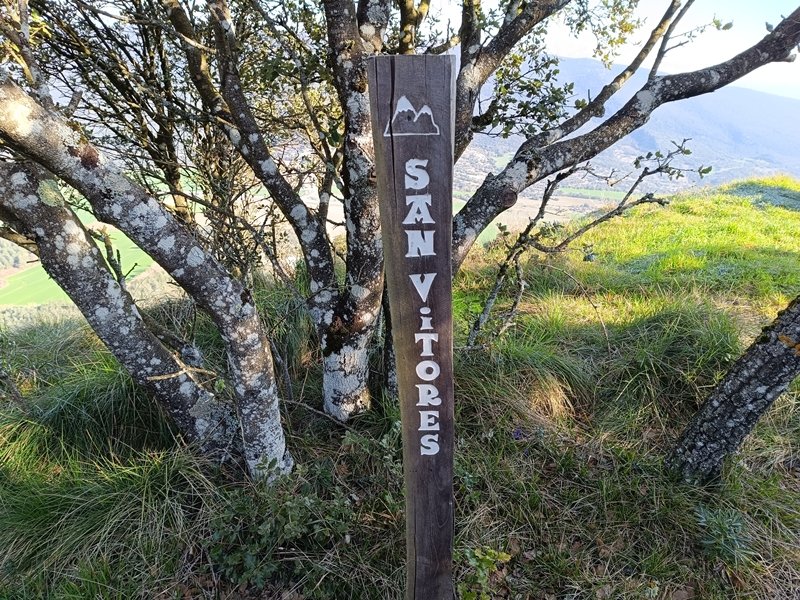 Tontorra