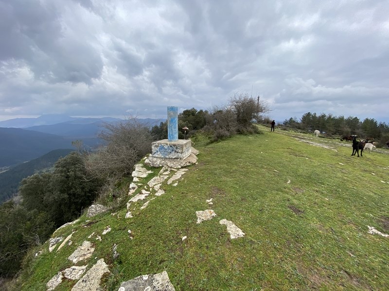 Tontorra