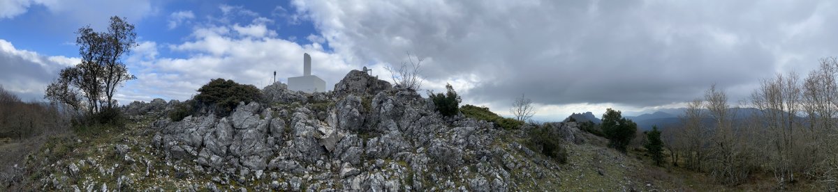 Tontorra