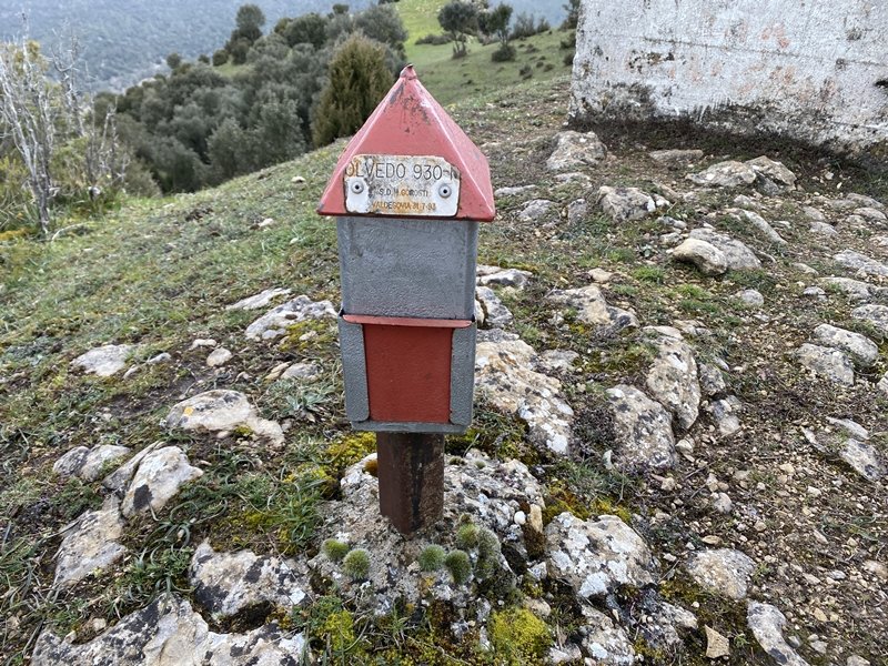 Mendebaldeko Buzoia