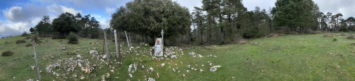 Tontorra