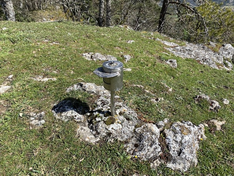 Buzoia