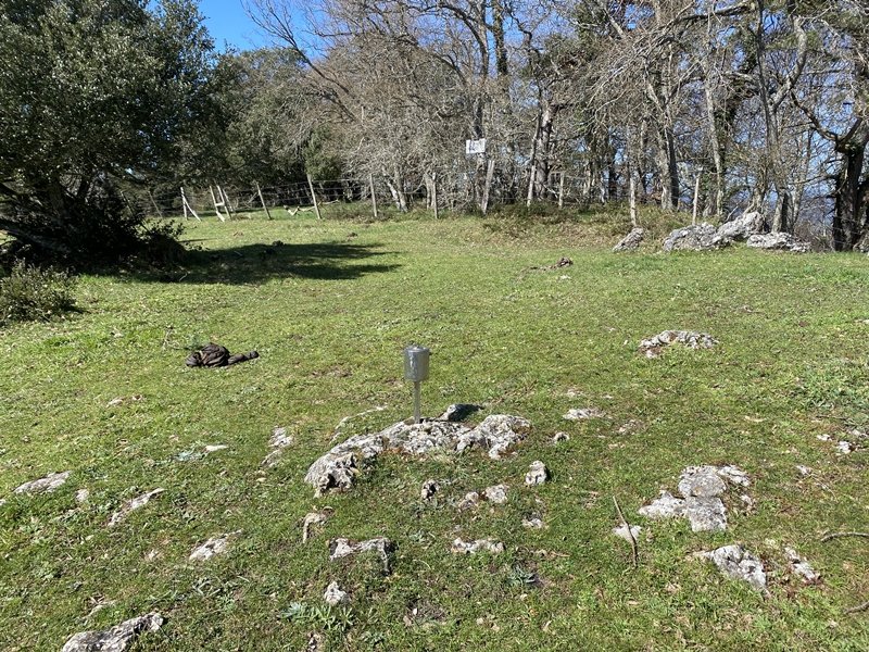 Tontorra