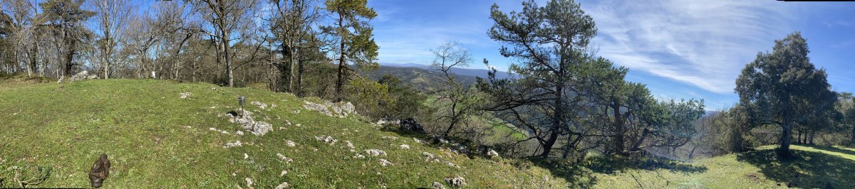 Tontorra