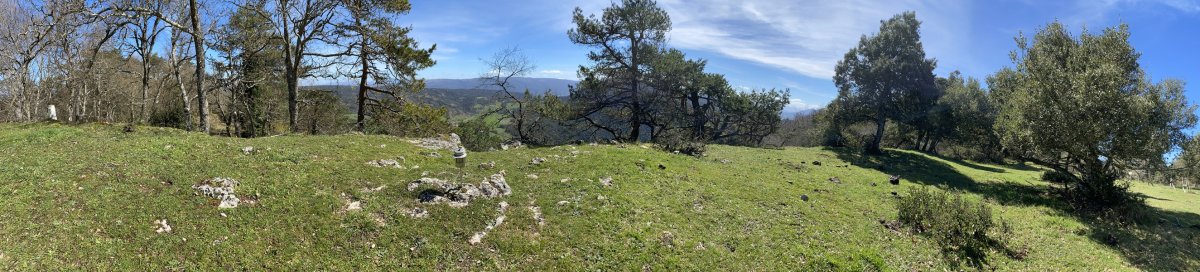 Tontorra