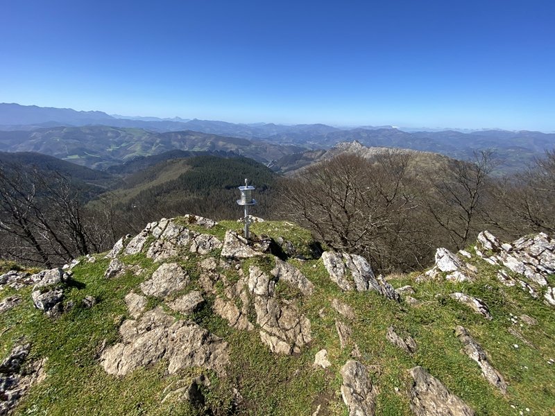 Tontorra