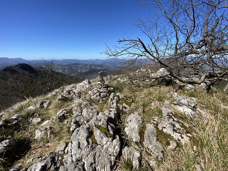 Tontorra