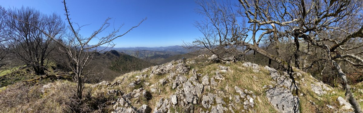 Tontorra