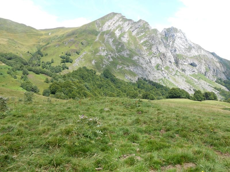 coig arras