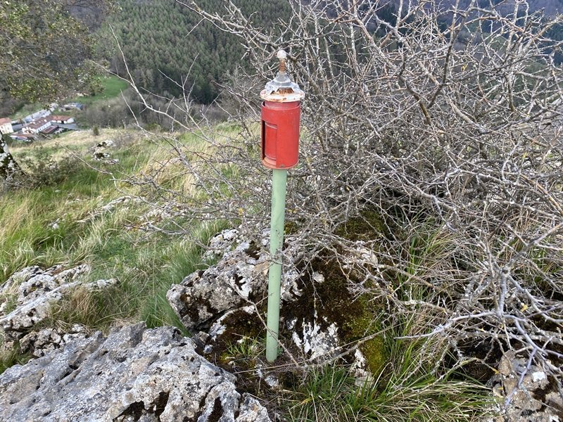 Buzoia