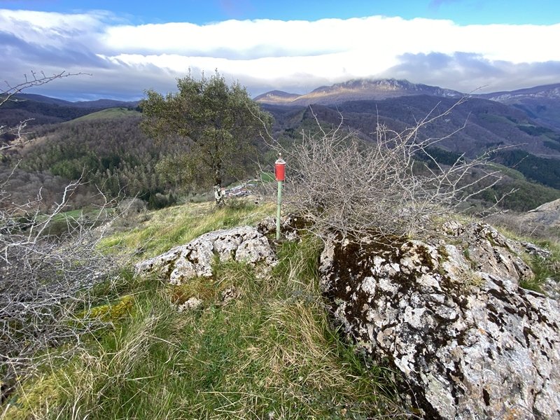 Tontorra