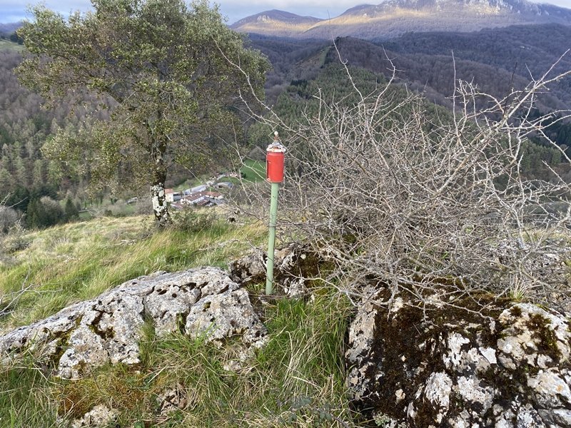 Tontorra