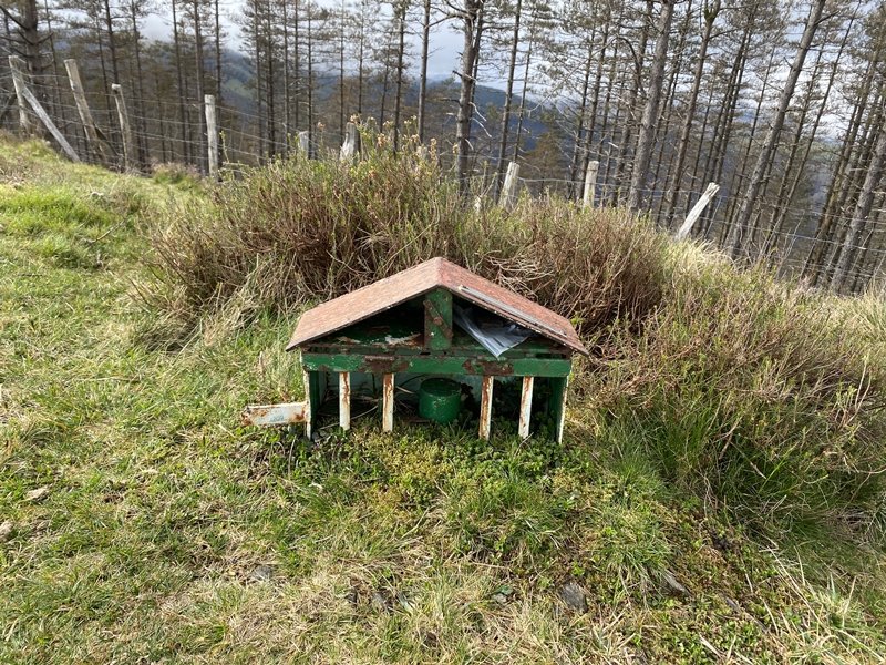 Buzoia