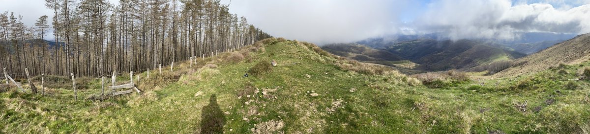 Tontorra