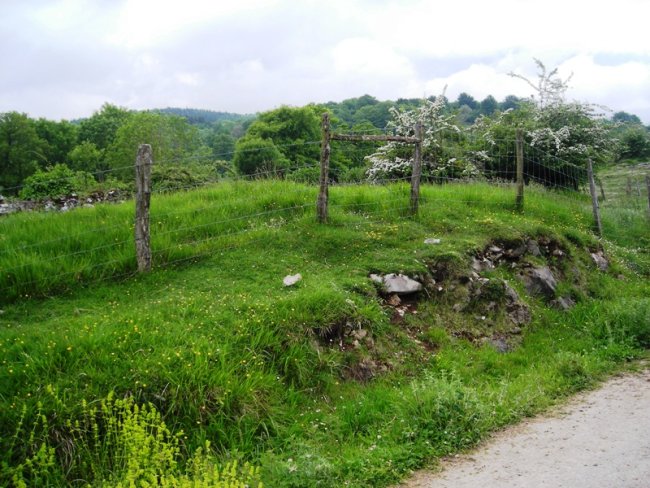 Akelar  trikuharria