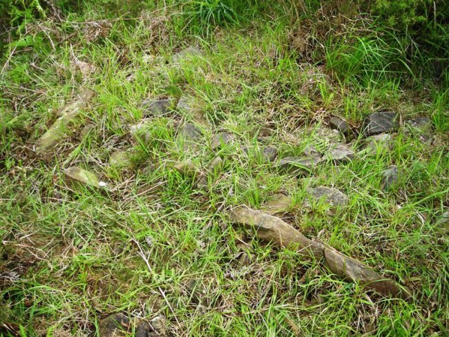 Matxeta trikuharria