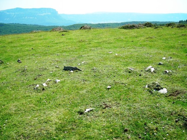 Lerritz tumulua