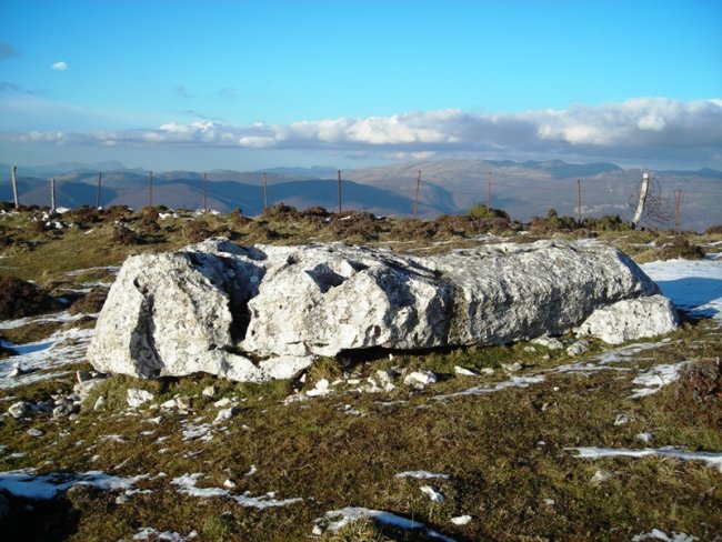 Baiza zutarria