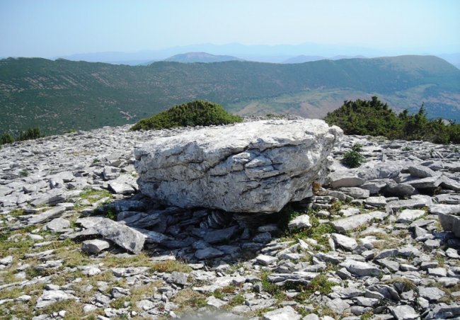 Irunsario  zutarria