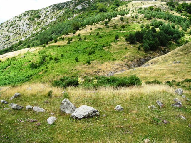 Bunker I harrespila