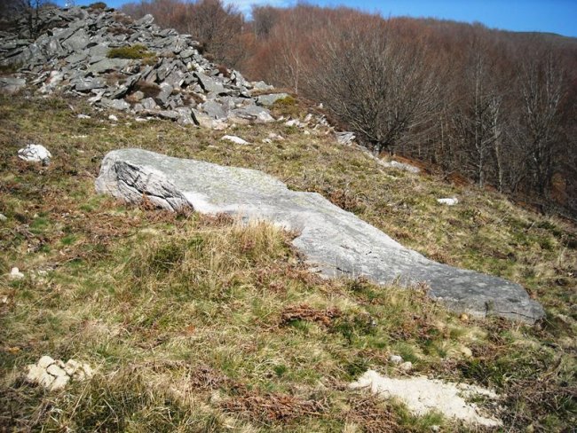 Latargi zutarria