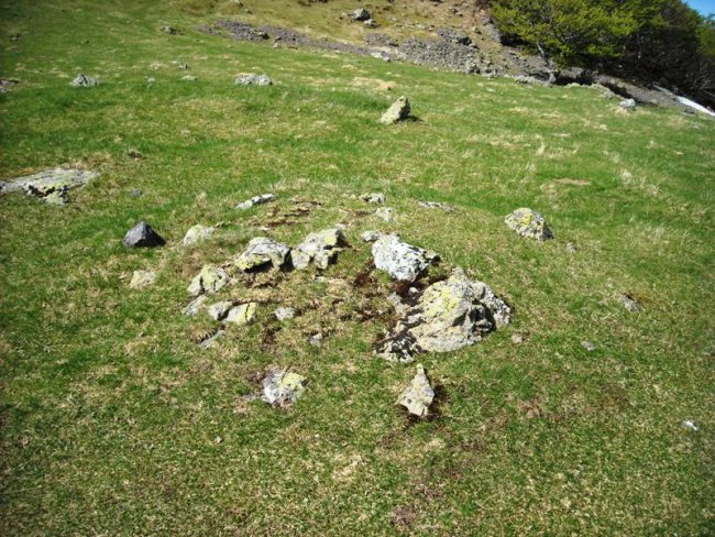 Xardeka  tumulua
