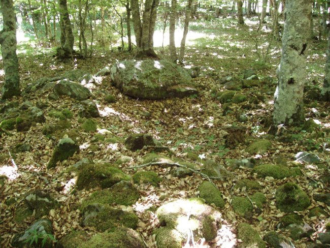 Urdinaga