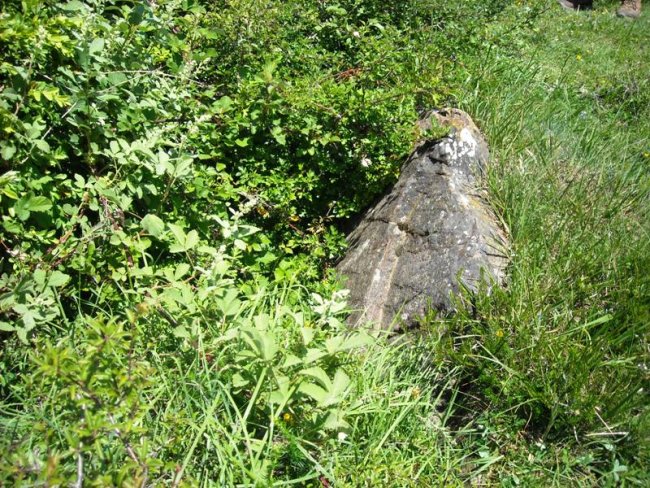 Zanaz 1 trikuharria