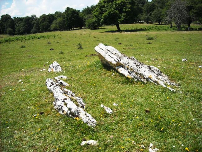 Larreaundi