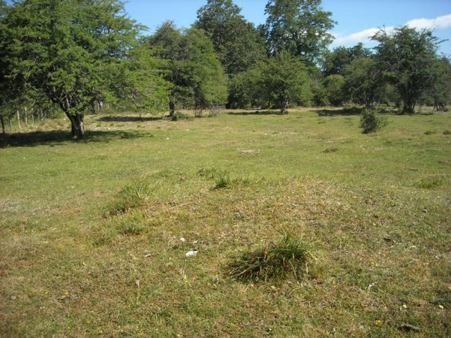 Ezkiza  2