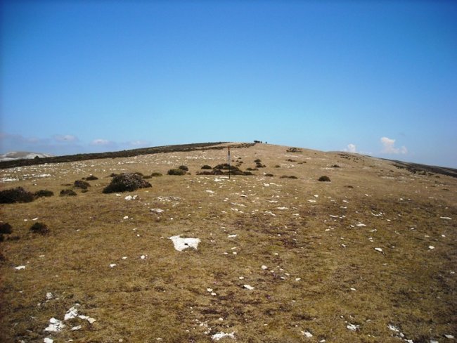Beorzulo