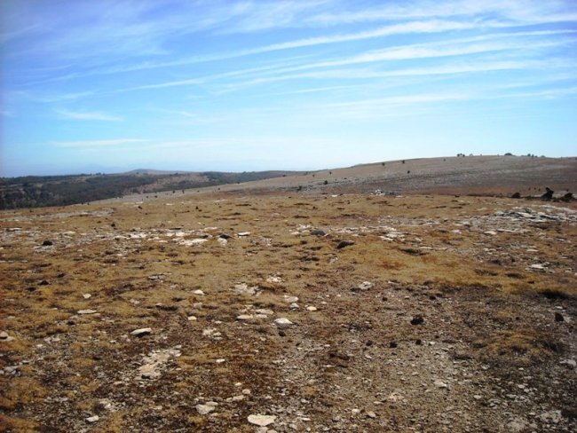 Larrengabela