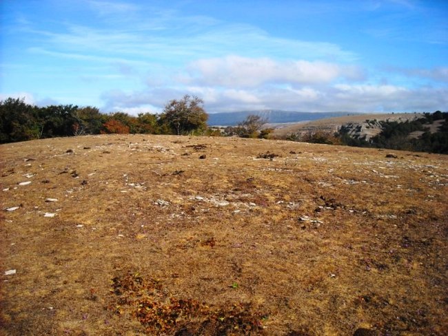 Tanturrandi