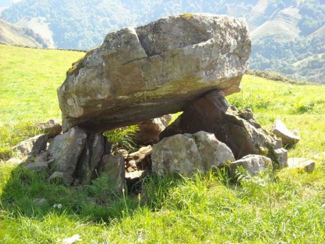 Xuberaxain  Harri