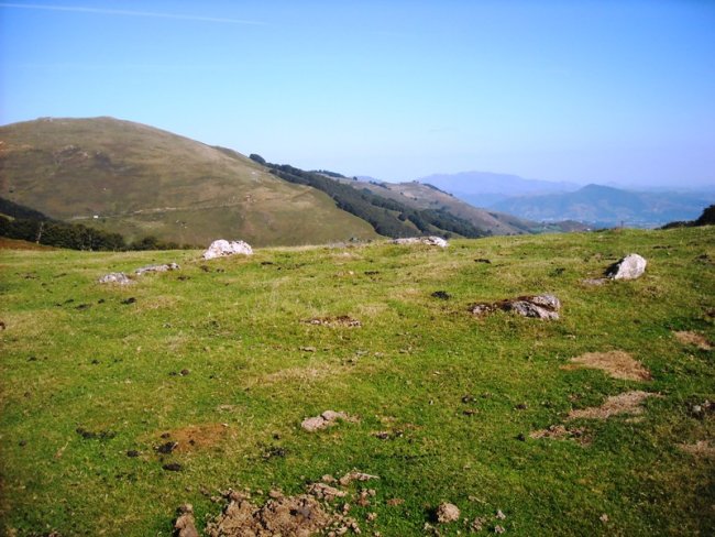 Sohandi  erdi