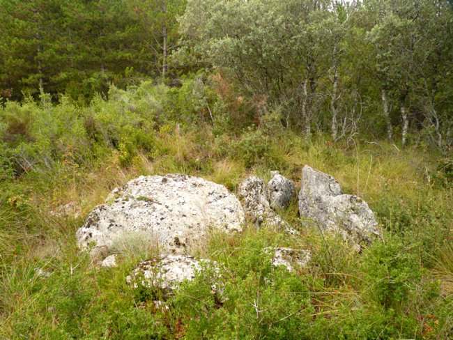 Ugarron